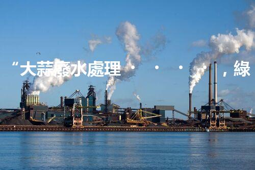 “大蒜廢水處理，綠色環(huán)保新篇章”